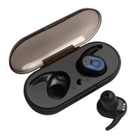 Feriay Wireless Earbuds Auto Pairing Bluetooth in-Ear Earphone with Charging Case Earbud Headphones