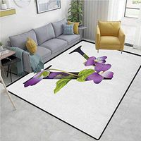 Letter V Plaid Area Rug, Viola Sororia Wildflowers on the V Natural Arrangement Floral Initial, Durable Carpet Area rug - Living Dinning Room Bedroom Rugs and Carpets(8'x 10') Violet Green Black