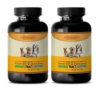BEST PET SUPPLIES LLC dog urinary health food - ADVANCED URINARY TRACT SUPPORT - FOR DOGS - CHEWABLE - POWERFUL DOG FORMULA - uva ursi for dogs - 180 Chews (2 Bottle)