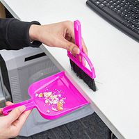 NPLE--Mini Broom Dustpan Brush Set Soft Cleaning Sweeper Hand Home Keyboard Dust Pan (Pink)