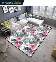 Cactus Decor Paisley Door Mats Outdoor, Cactuses Spring Blooms Twigs and Arrows Composition Boho Chic Vintage Flora, Fashionable High Class Living Bedroom Rugs(2.5'x 9')