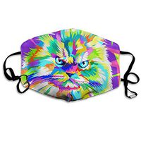 Mouth Mask Colorful Angry Cat Pop Art Fashion Earloop Face Mask For Kids Teens Men Women Winter Summer