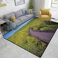 YucouHome Jungle Nautical Area Rug Bedroom, Wooden Pathway to Forest Trees Boardwalk Foliage Mysterious Journey Woodland, Fashionable High Class Living Bedroom Rugs(3'x 8') Green Mauve Blue