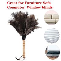 Ostrich Feather Duster, Car Duster with Wooden Handle for Blinds, Kitchen, Keyboard Office, Car, Small, 13 inch, Black.