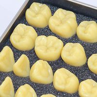 LXX Human Teeth Anatomical Model,Resin Teaching Model Adult Oral Standard Carving Teeth Zoom in 2 Times Medical Educational Training Aid Teeth Study Teaching Model