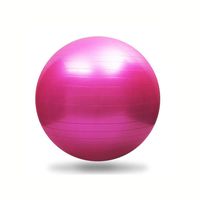 Exercise Ball for Yoga, Fitness, Balance Stability, Extra Thick Professional Grade Balance & Stability Ball - Anti Burst, Workout Program 2019 (Pink, 45cm)