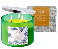 T&H Citronella Candles Outdoor Indoor Large Pure Soy Wax 3-Wick Scent Candle 80 Hour Burn 16 Ounces Highly Scented Long Lasting