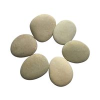 Lifetop Painting Rocks - Set of 6, DIY Rocks for Painting Kindness Rocks Smooth Surface Stones,Arts and Crafts (Style 2)