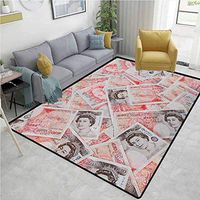 Money Moiré Kids' Rugs, Bullseye Notes with a Portrait of Queen of England Paper Bills of Great Britain, Durable Carpet Area rug - Living Dinning Room Bedroom Rugs and Carpets(3'x 8') Scarlet Taupe