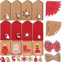 224 Pieces Christmas Gift Hang Tags Kraft Paper Tags with 2 Rolls Twines for Christmas Thanksgiving Wedding DIY Arts Crafts Supplies, 14 Styles