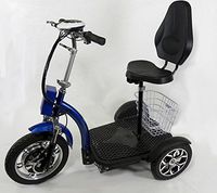 Stand and Sit Electric Folding Mobility Scooter