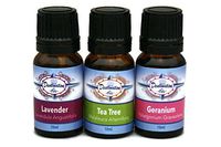Destination Oils Skincare Essential Oil Gift Set - Tea Tree Melaleuca, Geranium, and Lavender- 100% Pure Undiluted