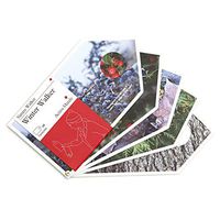 Active Minds: Nature Walker Winter Photograph Book with Seasonal Textures | Specialist Alzheimer's/Dementia Activities & Games