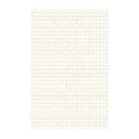 Swan SSST629601.010 Solid Surface Glue-Up 1-piece Shower Wall Panel, 0.25-in L X 62-in H X 96-in H, White