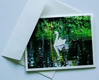 Bird Note Cards Original Elegant Photographic Textured White Blank 4.25"x 5.50" Boxed Set 8 W/Matching Envelopes In Plastic Jacket Thank You Invitations Birthdays Greetings Just Because