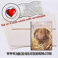 Michael Steddum Chesapeake Head Study IV, Chesapeake Bay Retriever Note Card Set