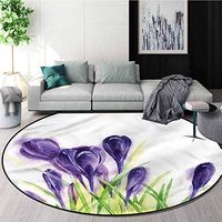 RUGSMAT Flower Modern Vintage Rugs,Crocus Blooms Watercolor Design Non-Slip Fabric Round Rugs for Study Room Diameter-51