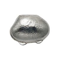 Wild Things Sterling Silver Tellin Shell Pill Box