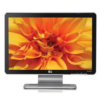 HP W1907 19-inch Widescreen Flat Panel LCD Monitor