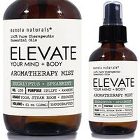 Eunoia Naturals Elevate- Eucalyptus + Spearmint Aromatherapy Mist, Eucalyptus Shower Spray, Uplifting + Awaken, Steam and Shower Spray, All Natural, Breath Easy, Eucalyptus Spa Scent, 4 oz Bottle