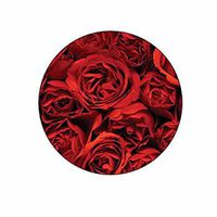 Red Roses Stickers - Gift Bag or Envelope Seals - Rose Flower Floral Theme Stationery Design - Party Favor Supplies - Set of 24