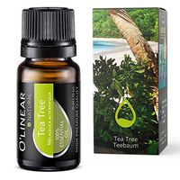 Tea Tree Oil - Therapeutic Grade - Aromatherapy Natural & Pure Tea Tree Essential Oil 10ml, Perfect for Diffuser, Nails Care, Hair Care, Skin Care - High European Quality Oil by O'linear