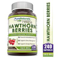Pure Naturals Hawthorn Berries - 565 Mg, Capsules * Powerful Antioxidant Activity * Supports Cardiovascular Health 240 Count
