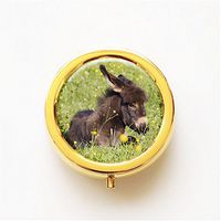 RhyNSky Animal Donkey Mini Portable Pocket Pill Box Case Holder for Purse, 3 Compartments, Gold, FG296