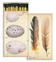 Matches - Fine Feathers (Set of 6)