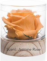 Sustainable Home Scent 12 oz A Real Fragrance Flower with Lasting abilities Similar to Scented Candle, Wax and Aroma Diffuser?Fill Your Home with Fragrance