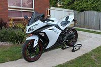 Black & White ABS Motorcycle Complete Fairing Cowl Injection Bodywork Body Kits for 2013 2014 2015 2016 2017 2018 Kawasaki Ninja 300 Ninja300 EX300R EX-300R