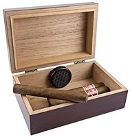 Scorch Torch Travel 10 Cigar Humidor Humidifier