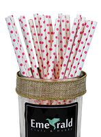 Premium Quality Biodegradable Eco Friendly Paper Straws, Pack of 25 (Pink Polka Dots)