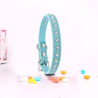 EASTOP Pet's House Dog Collars for Small Dogs Prime (XS, Blue)