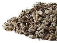 Echinacea Angustifolia Root c/s