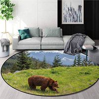 Bear Non-Slip Area Rug Pad Round,Wildlife Up In The Mountains Theme Furry Animal Carnivore Yellowstone Nature Habitat Protect Floors While Securing Rug Making Vacuuming Diameter-35 Inch,Green Brown