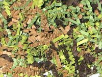 4oz Bag Camouflage Blend Gift Basket Shred Crinkle Paper Filler Bedding ngKE -1672