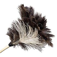 Boardwalk 13FD Professional Ostrich Feather Duster 7-Inch Handle