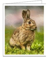 Clover the Rabbit- Set of 6 Blank Notecards By Doggylips