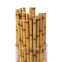 Tiki Bamboo Print Biodegrabale Paper Straws - Multi Packs (24)