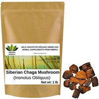 Wild Harvested Organic Siberian Chaga Mushroom Chunks (Inonotus Obliquus) from The Ecologically Clean Shores of Lake Baikal Fresh Harvest Direct from Siberia 454 gm (1 lb)