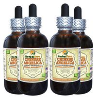 Chinese Angelica (Angelica archangelica) Tincture, Organic Dried Root Liquid Extract (Brand Name: HerbalTerra, Proudly Made in USA) 4x4 fl.oz (4x120 ml)