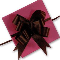 3" Brown Satin Fabric Butterfly Pull Bow | Quantity: 50