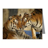 Note Card Nuzzling Tiger Love