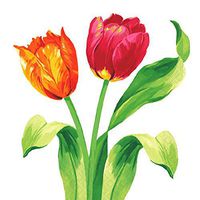 Amscan Bright Tulips Beverage Napkins, 16 Ct. | Party Tableware