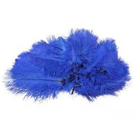 Pack of 10, 15-20 cm Home Decor Real Natural Ostrich Feathers Great Party Wedding Decorations(Blue)