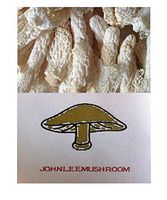 Bamboo Fungus Mushroom Dried 715 Gram