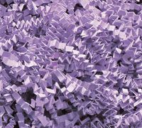 4oz Bag U Choose Size Orchid Purple Gift Basket Shred Crinkle Paper Grass Filler Bedding nfLG -1211