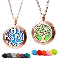 RoyAroma 2PCS Rose Gold Aromatherapy Essential Oil Diffuser Pendant Locket Necklace, 24" Adjustable Chain Stainless Steel Perfume Jewelry 12 Felt Pads Gift Set