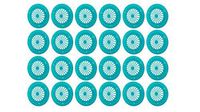 24ct Teal Reusable Plastic Paper Plate Holder for 9" Plates, Bright Summer Fun Colors for Picnic, BBQ, Parties, & Camping